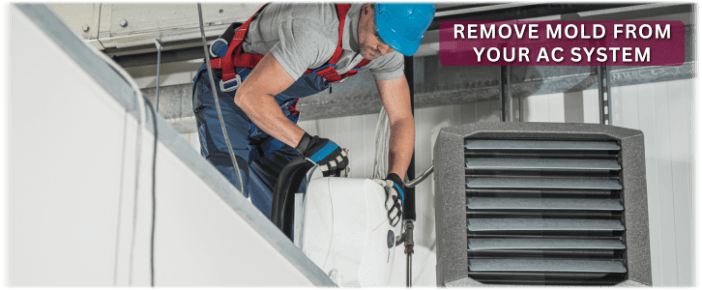 HVAC Mold Removal Dallas